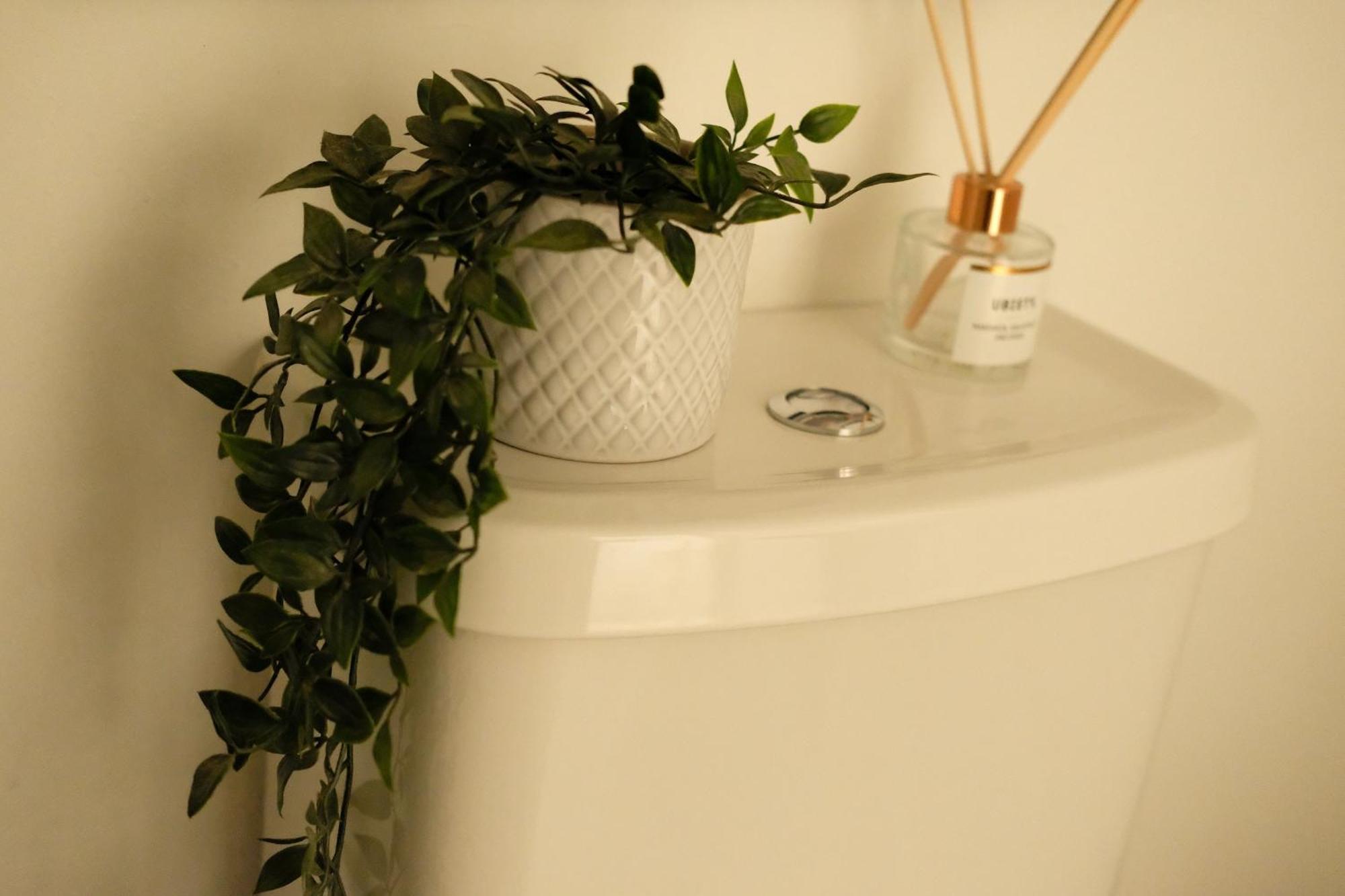 Spacious City Centre Apartment Bath Bagian luar foto
